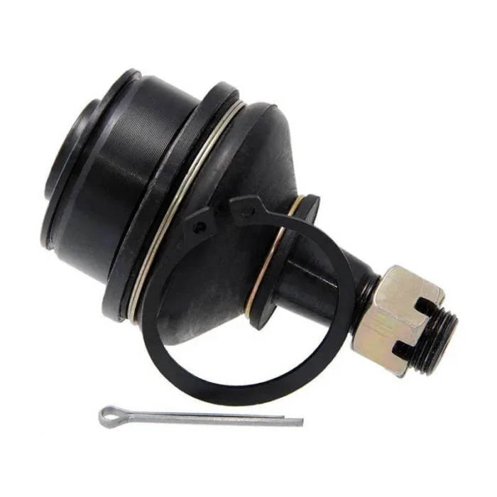 LBJN25-01.webp